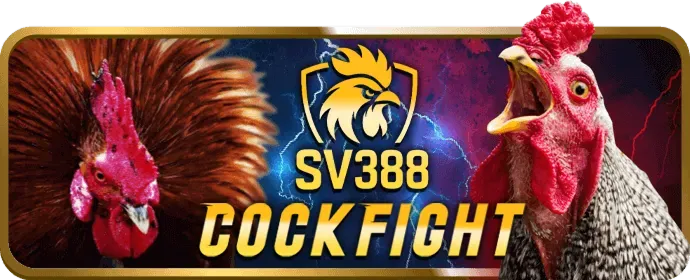 Slot Game & Nổ Hũ Oppa888